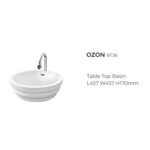 OZON BT36